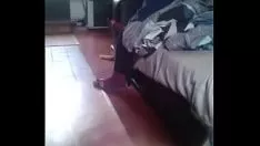 Reproducir Éxito del goteo de Gumshoeswank