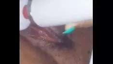 تشغيل رديبون القط الرطب
