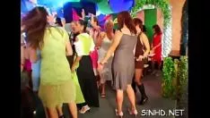 تشغيل حزب سياسي صاخب مخمور غير جدير بالثقة