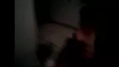 Play Camila vladimir putinha de cajati